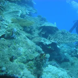 Lagoon of Mayotte - Mamoudzou