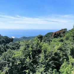 Capilla de la Paz (Chapel of Peace) - Acapulco