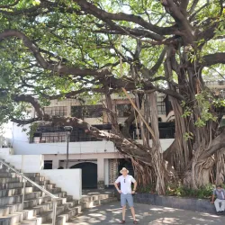 Zócalo de Acapulco - Acapulco