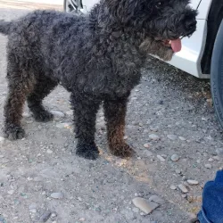 Parque Lineal - Acuna