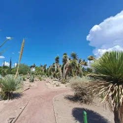 Parque Xochipilli - Acuna