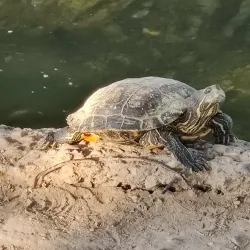 Parque Xochipilli - Acuna