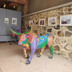 Ajijic Art Walk - Ajijic