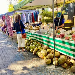 Mercado de Artesanías Ajijic (Artisan Market) - Ajijic