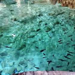 Aktun Chen Natural Park - Akumal