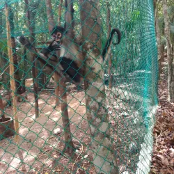 Aktun Chen Natural Park - Akumal