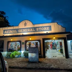 Akumal Artisanal Market - Akumal