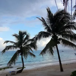 Akumal Artisanal Market - Akumal