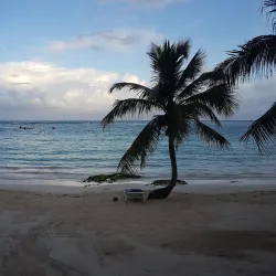 Akumal Artisanal Market - Akumal