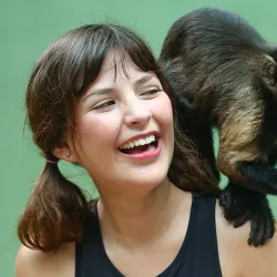 Akumal Monkey Sanctuary - Akumal