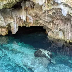 Akumal Monkey Sanctuary - Akumal