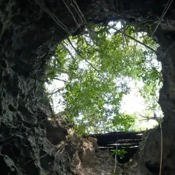 Cenote Santa Cruz - Akumal
