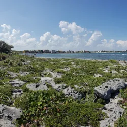 Half Moon Bay (Bahía Media Luna) - Akumal