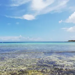 Half Moon Bay (Bahía Media Luna) - Akumal