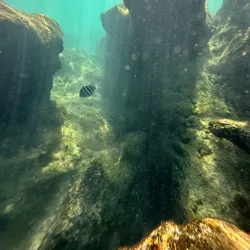 Half Moon Bay Cenote - Akumal