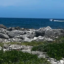 Half Moon Bay Cenote - Akumal