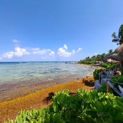 La Buena Vida Beach Club - Akumal