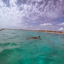 Turtle Bay Beach - Akumal