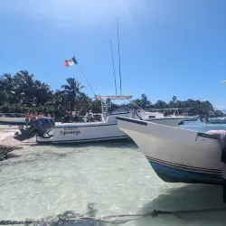 Turtle Bay Beach - Akumal