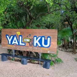 Yal-Ku Lagoon - Akumal