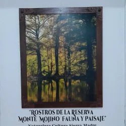 Casa de la Cultura - Alamos