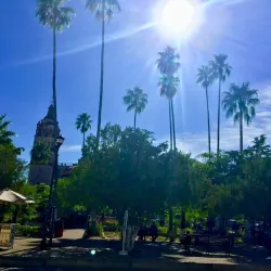 Church of the Immaculate Conception - Alamos