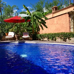 Hacienda de los Santos - Alamos