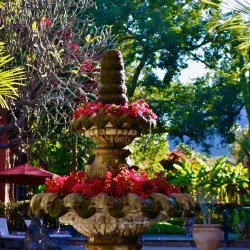 Hacienda de los Santos - Alamos