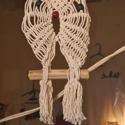 Local Markets - Alamos