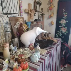 Local Markets - Alamos