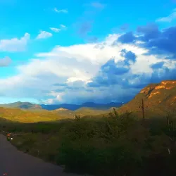 Rancho San Bernardo - Alamos