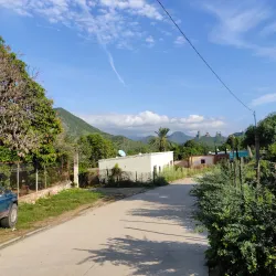 Rancho San Bernardo - Alamos