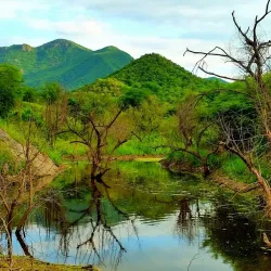 Rancho San Bernardo - Alamos