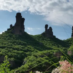 Rancho San Bernardo - Alamos