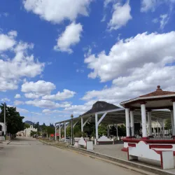 Rancho San Bernardo - Alamos