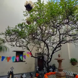 Casa de la Cultura de Allende - Allende