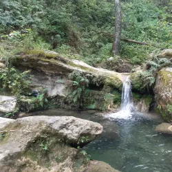 Parque Natural La Estanzuela - Allende