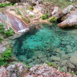 Parque Natural La Estanzuela - Allende