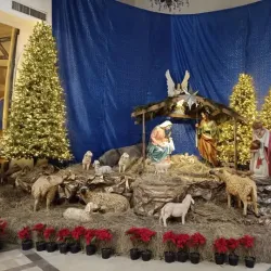 Parroquia de San Pedro Apóstol - Allende