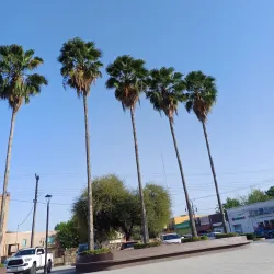 Plaza Principal de Allende - Allende