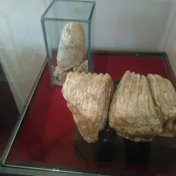 Centro Cultural Apodaca - Apodaca