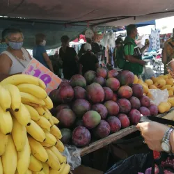 Mercado Municipal de Apodaca - Apodaca