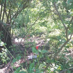 Parque Central Apodaca - Apodaca