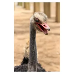 Parque Lineal La Pastora - Apodaca