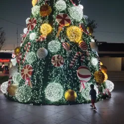 Plaza Principal de Apodaca - Apodaca