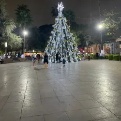 Plaza Principal de Apodaca - Apodaca