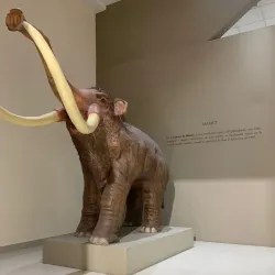 Museo de Azcapotzalco - Azcapotzalco