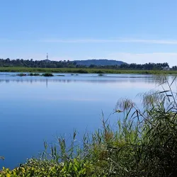 Laguna del Tule - Barra de Navidad