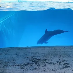 Acuario de Veracruz - Boca del Rio