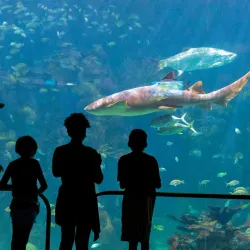 Acuario de Veracruz - Boca del Rio